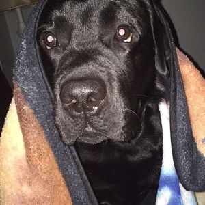 Meet your Posher, Matthew